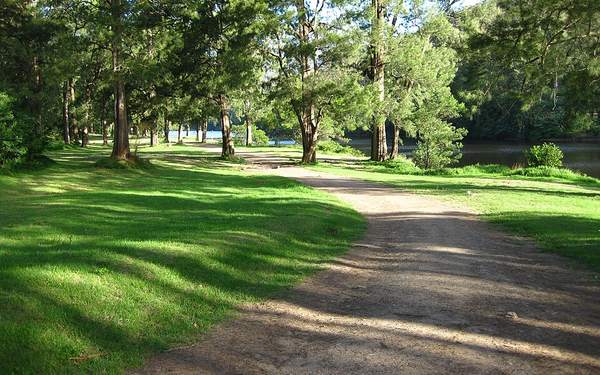 A grassy track under tall trees at Bendeela Recreation Area