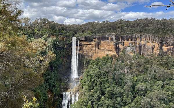 Fitzroy Falls dropping over sandstone cliffs into forest